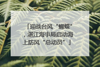 迎战台风“蝴蝶”，湛江海事局启动海上防风“总动员”