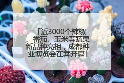近3000个辣椒、番茄、玉米等蔬果新品种亮相，成都种业博览会在蓉开幕