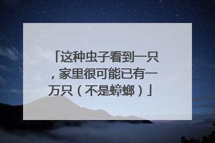 这种虫子看到一只，家里很可能已有一万只（不是蟑螂）