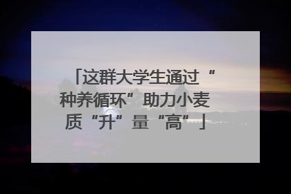 这群大学生通过“种养循环”助力小麦质“升”量“高”