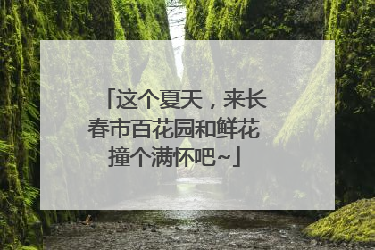 这个夏天，来长春市百花园和鲜花撞个满怀吧~