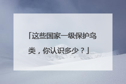 这些国家一级保护鸟类，你认识多少？