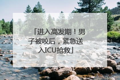 进入高发期！男子被咬后，紧急送入ICU抢救