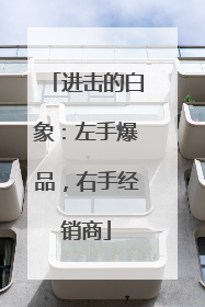 进击的白象：左手爆品，右手经销商