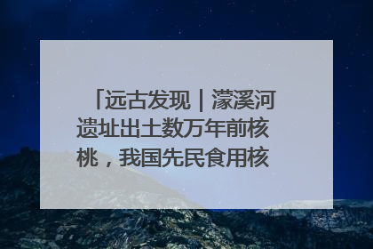 远古发现｜濛溪河遗址出土数万年前核桃，我国先民食用核桃历史大幅提前