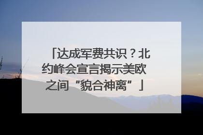 达成军费共识？北约峰会宣言揭示美欧之间“貌合神离”