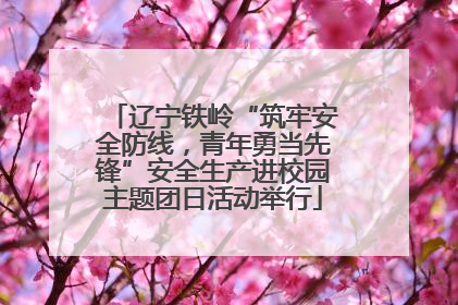 辽宁铁岭“筑牢安全防线，青年勇当先锋”安全生产进校园主题团日活动举行