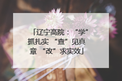 辽宁高院：“学”抓扎实 “查”见真章 “改”求实效