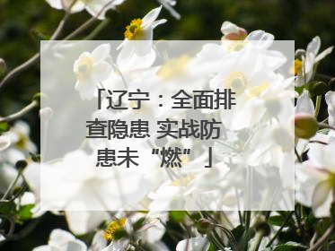 辽宁：全面排查隐患 实战防患未“燃”