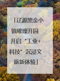 辽源黑金小镇璀璨开园 开启“工业+科技”沉浸文旅新体验
