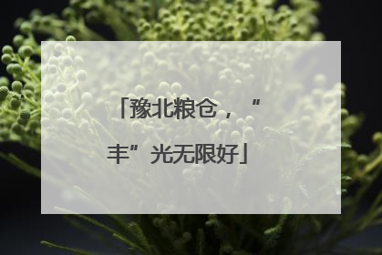 豫北粮仓，“丰”光无限好
