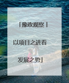 豫政观察丨以项目之进看发展之势