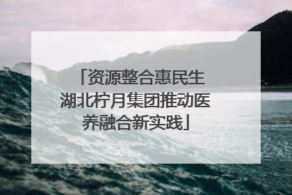 资源整合惠民生 湖北柠月集团推动医养融合新实践