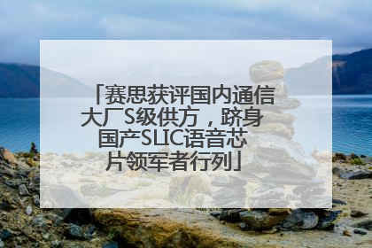 赛思获评国内通信大厂S级供方，跻身国产SLIC语音芯片领军者行列