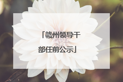 赣州领导干部任前公示