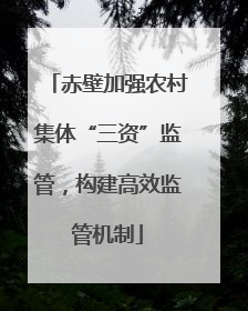 赤壁加强农村集体“三资”监管，构建高效监管机制