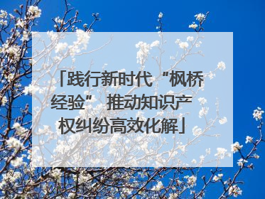 践行新时代“枫桥经验” 推动知识产权纠纷高效化解