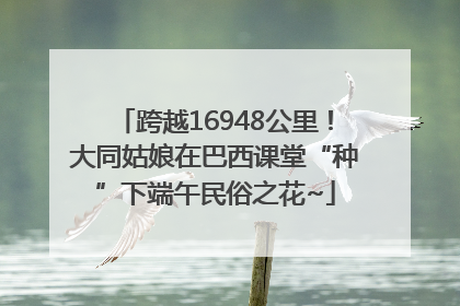 跨越16948公里！大同姑娘在巴西课堂“种”下端午民俗之花~