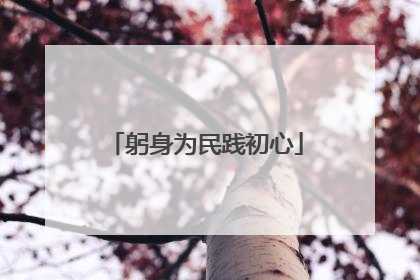 躬身为民践初心