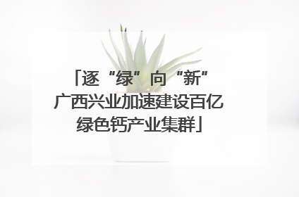 逐“绿”向“新” 广西兴业加速建设百亿绿色钙产业集群