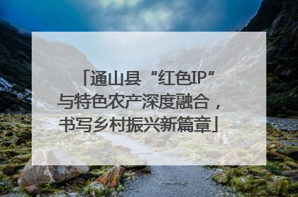 通山县“红色IP”与特色农产深度融合，书写乡村振兴新篇章