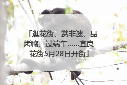 逛花街、赏非遗、品烤鸭、过端午……宜良花街5月28日开街