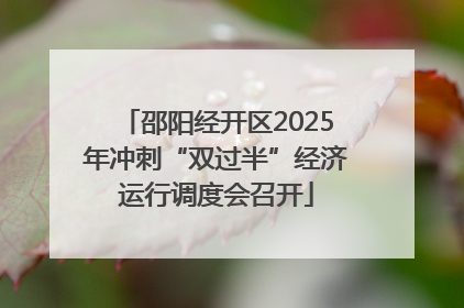 邵阳经开区2025年冲刺“双过半”经济运行调度会召开