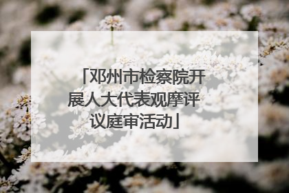 邓州市检察院开展人大代表观摩评议庭审活动