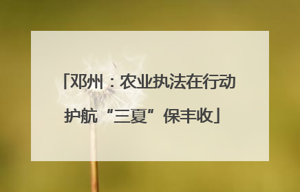邓州：农业执法在行动 护航“三夏”保丰收