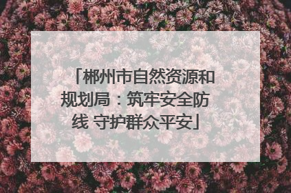 郴州市自然资源和规划局：筑牢安全防线 守护群众平安