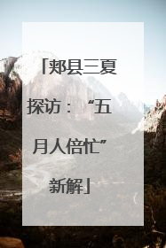 郏县三夏探访：“五月人倍忙”新解