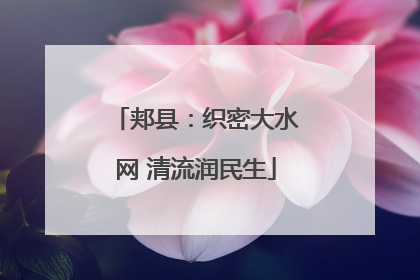 郏县：织密大水网 清流润民生