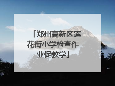 郑州高新区莲花街小学检查作业促教学