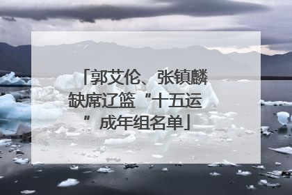 郭艾伦、张镇麟缺席辽篮“十五运”成年组名单