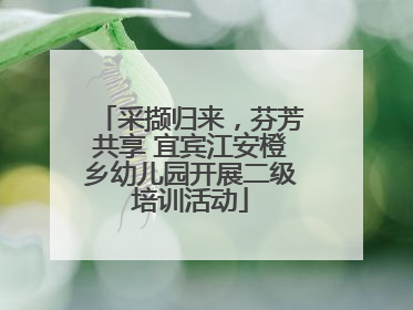 采撷归来，芬芳共享 宜宾江安橙乡幼儿园开展二级培训活动