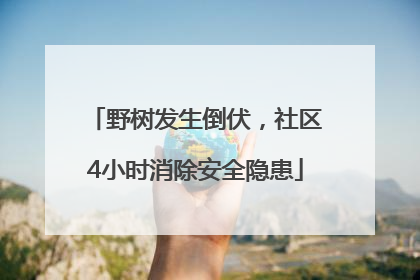 野树发生倒伏，社区4小时消除安全隐患