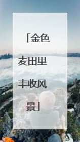 金色麦田里丰收风景