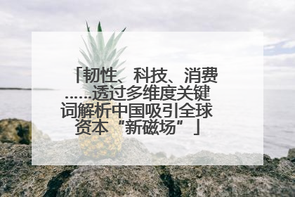 韧性、科技、消费……透过多维度关键词解析中国吸引全球资本“新磁场”