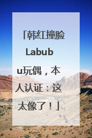 韩红撞脸Labubu玩偶，本人认证：这太像了！