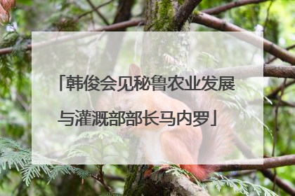 韩俊会见秘鲁农业发展与灌溉部部长马内罗