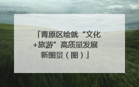 青原区绘就“文化+旅游”高质量发展新图景（图）