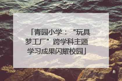 青园小学：“玩具梦工厂”跨学科主题学习成果闪耀校园