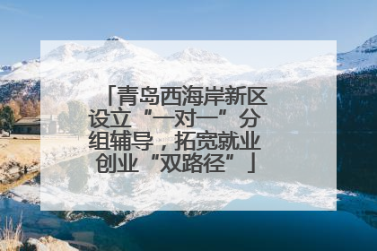 青岛西海岸新区设立“一对一”分组辅导，拓宽就业创业“双路径”