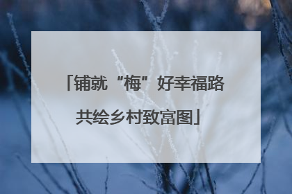 铺就“梅”好幸福路 共绘乡村致富图