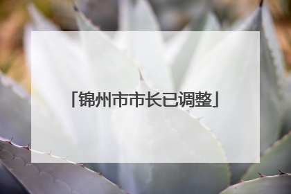 锦州市市长已调整