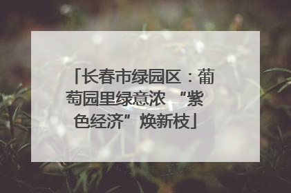 长春市绿园区：葡萄园里绿意浓 “紫色经济”焕新枝