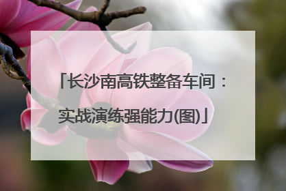 长沙南高铁整备车间：实战演练强能力(图)
