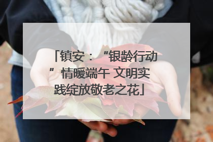 镇安：“银龄行动”情暖端午 文明实践绽放敬老之花