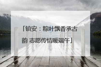 镇安：粽叶飘香承古韵 志愿传情暖端午