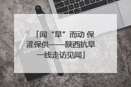 闻“旱”而动 保灌保供——陕西抗旱一线走访见闻